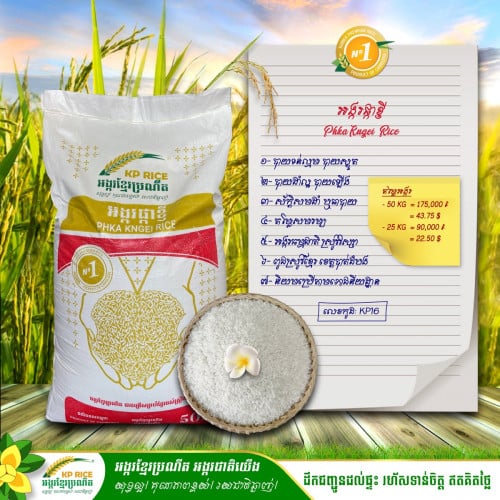 អង្ករផ្កាខ្ញី