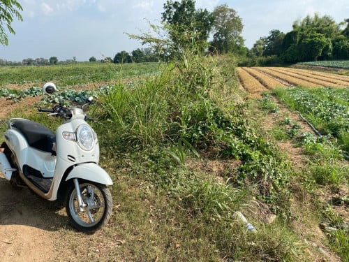 ដីលក់បន្ទាន់ 10