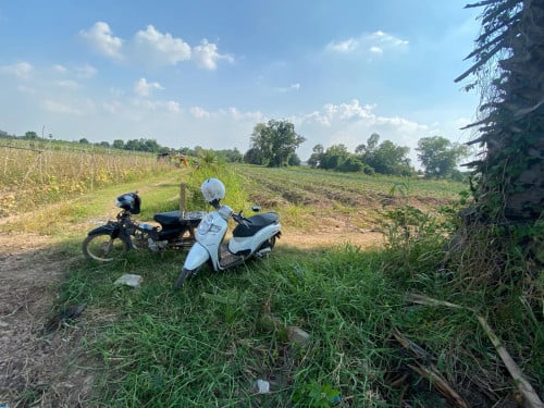 ដីលក់បន្ទាន់ 10