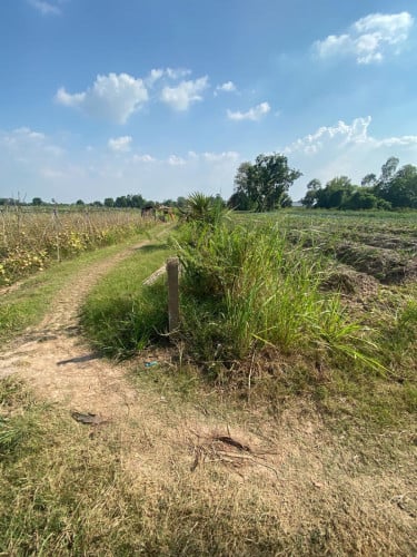 ដីលក់បន្ទាន់ 10