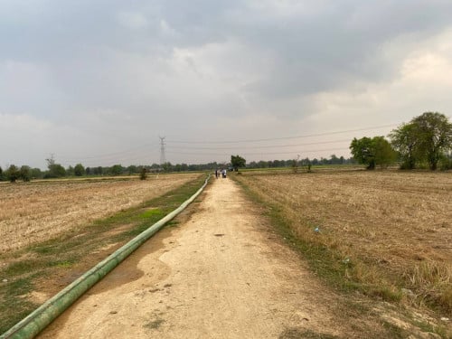 ដីស្រែនៅជិតផ្លូវHighway បាត់ដំបង 55,000$