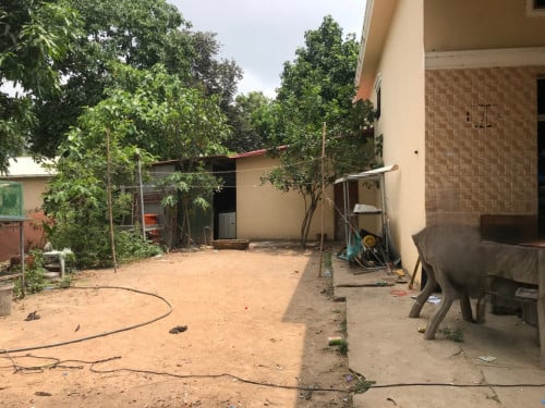 🏠 អចលនទ្រព្យ លក់ឡាយឡុង (Auctioned Properties) 🏷