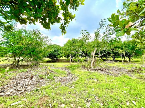 🏦Land for Urgent sale (Negotiable), ABA Loan Available