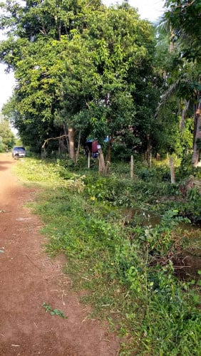 ដីលក់ក្នុងភូមិ 40x50