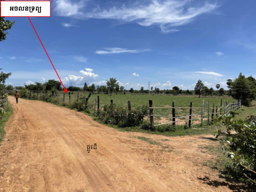 🏠 អចលនទ្រព្យ លក់ឡាយឡុង (Auctioned Properties) 🏷