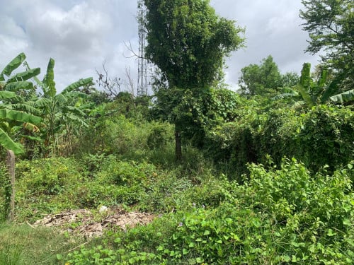 ๐ฆLand Available for Urgent Sale at a Special Price (Negotiable).