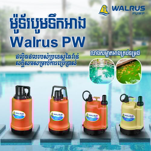 ជ្រើសរើសម៉ូទ័របូមទឹកអាង​ម៉ាក Walrus ម៉ូដែល PW