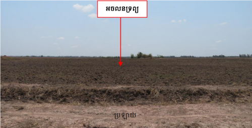 🏠 អចលនទ្រព្យ លក់ឡាយឡុង (Auctioned Properties) 🏷