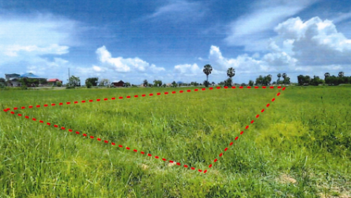 🏠 អចលនទ្រព្យ លក់ឡាយឡុង (Auctioned Properties) 🏷