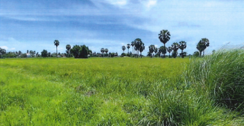 🏠 អចលនទ្រព្យ លក់ឡាយឡុង (Auctioned Properties) 🏷