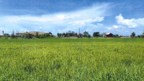 🏠 អចលនទ្រព្យ លក់ឡាយឡុង (Auctioned Properties) 🏷