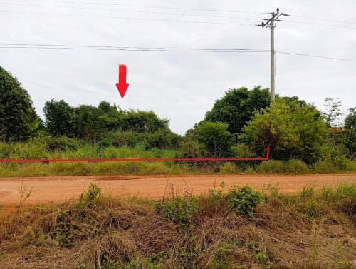 🏠 អចលនទ្រព្យ លក់ឡាយឡុង (Auctioned Properties) 🏷