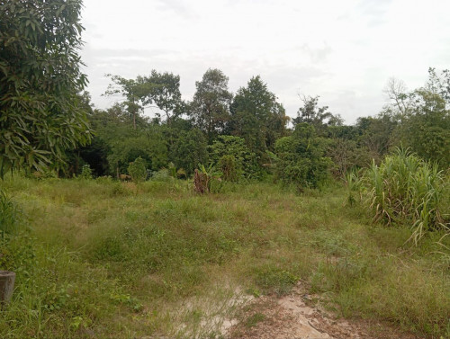 🏠 អចលនទ្រព្យ លក់ឡាយឡុង (Auctioned Properties) 🏷