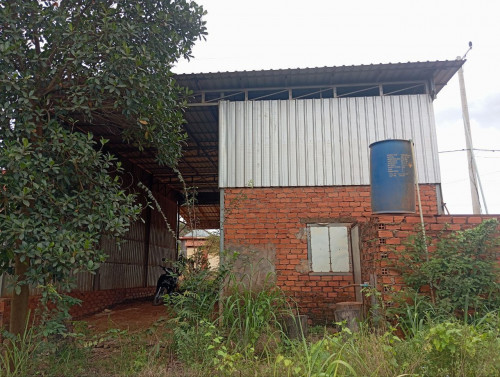 🏠 អចលនទ្រព្យ លក់ឡាយឡុង (Auctioned Properties) 🏷
