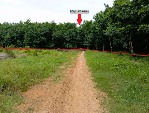 🏠 អចលនទ្រព្យ លក់ឡាយឡុង (Auctioned Properties) 🏷