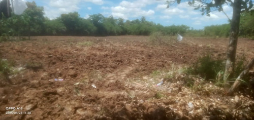 ដីលក់បន្ទាន់