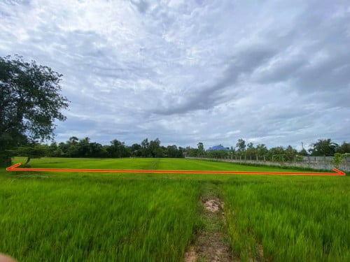 🏦Land Available for Urgent Sale at a Special Price (Negotiable).