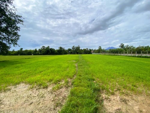 ๐ฆLand Available for Urgent Sale at a Special Price (Negotiable).