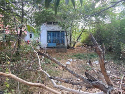 ជួលនិងលក់​ ព្រែកថ្លឹង