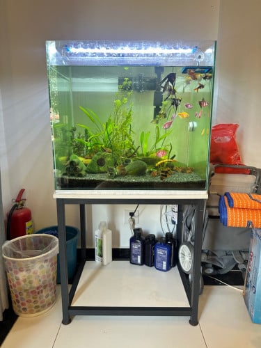 ចង់លក់ទាំងអស់ អត់មានពេលថែ