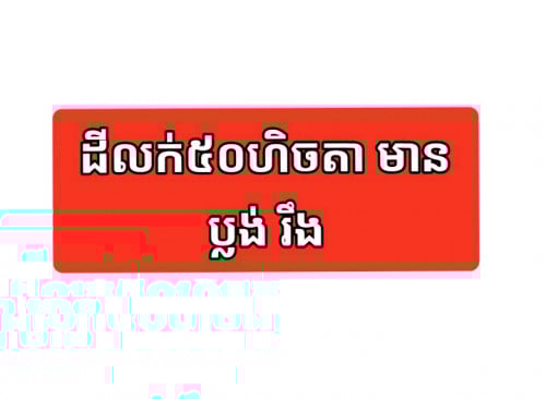 ដីលក់50ហិចតា មានប្លង់រឹង