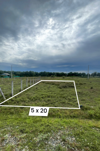 ដីឡូតិ៍លក់