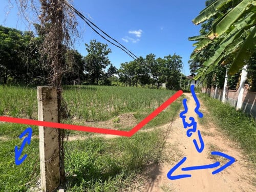 ដីចំការលក់បន្ទាន់ចរចារបាន