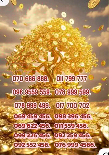 096 9 559 559 តំលៃពិសេស$150