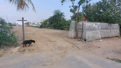 ដីលក់ ជិតផ្ទះសម្តេច