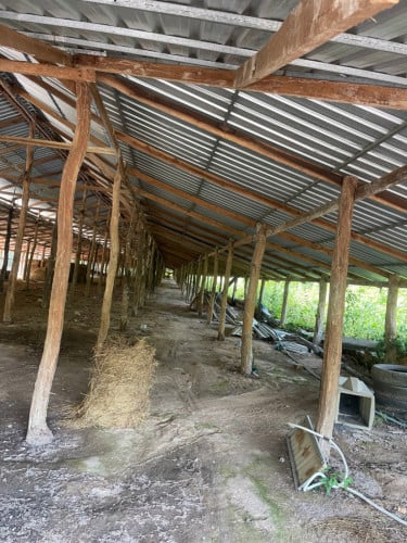 Cow barn/chicken, ducks ECT::::