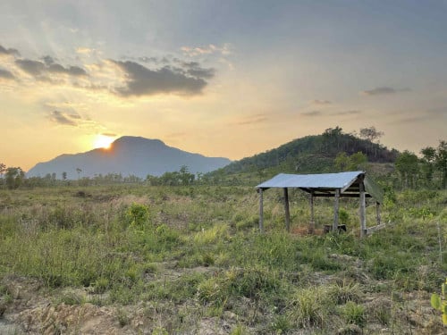 លក់ដីចំការ ១ហិចតា $4,000