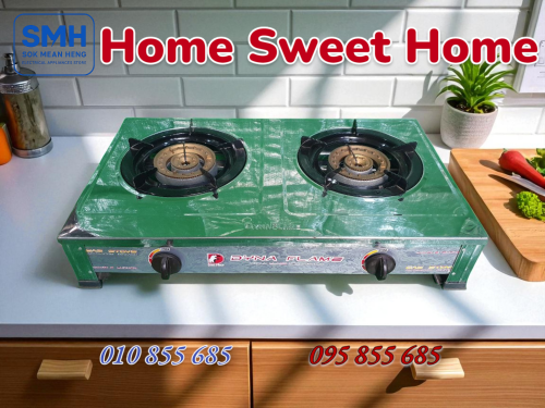 ចង្ក្រានហ្គាស DYNA Flame Gas Stove _ Clearance Sale