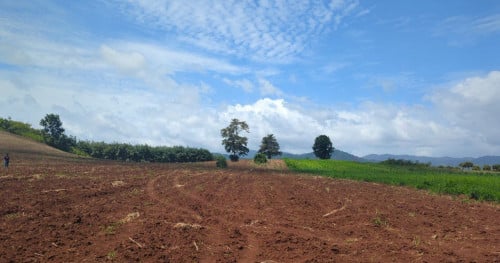 Land for Urgent Sale (Negotiable), ABA Loan Available.