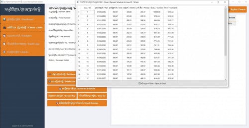 Loan management system