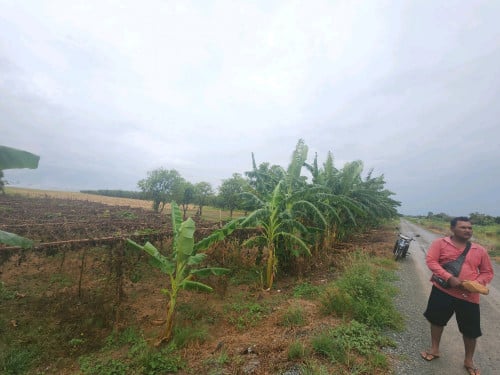 ដីលក់តម្លៃធូរទំហំសរុប 50,894m2 (低价出售土地，总面积50,894平方米)