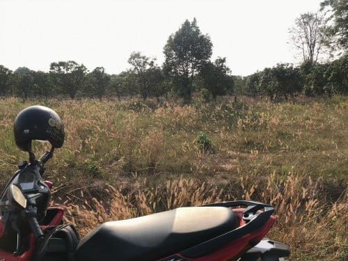 ដីលក់បន្ទាន់ 200m^2 2000$ទីតាំងជាប់ភូមិ ក្បែរប្រជំុជន ជិតសាលារៀន ផ្សារនិងមន្ទីរពេទ្យ កោះស្លា កំពត