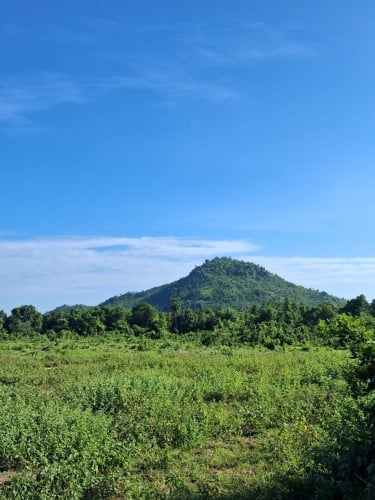 ដីចំការ ៤,៥ហិកតា ក្បែជើងភ្នំ ជាប់មាត់ស្ទឹងលក់