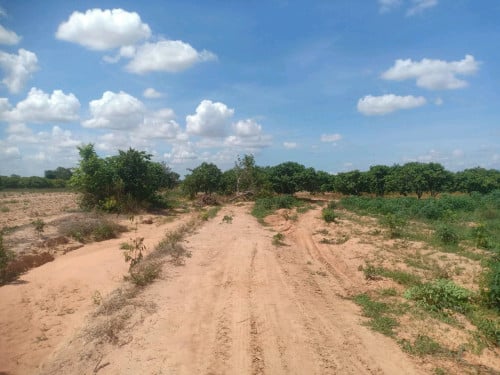 ដីសម្រាប់លក់