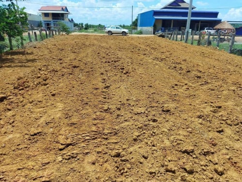 ដីលក់ម្ចាស់ផ្ទាល់​ ស្ថិតនៅភូមិតាំងគម្ពី ទំព័រមាស