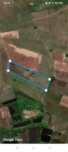 ជាប្រភេទ ដីស្រែ មានប្លង់រឹង លក់ប្រញ៉ាប់លុយ ជាម្ចាសដី់ផ្ទាល់