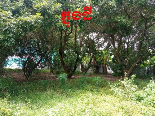 ដីសម្រាប់លក់