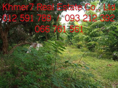 ដីសម្រាប់លក់