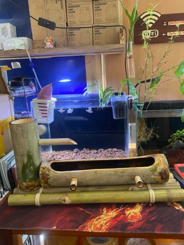 បំពង់ឬស្សីតាំងលំអរលើពាងត្រី