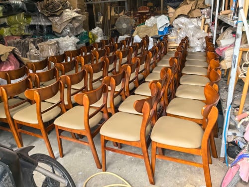 Modern Dining chairs