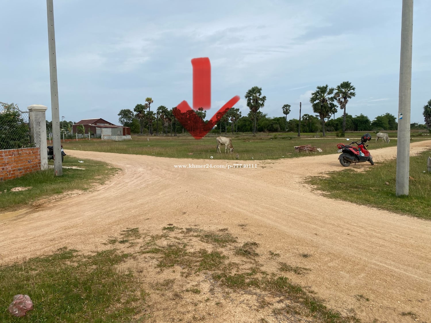 ដីលក់ក្បែរមណីដ្ឋានភ្នំរាប