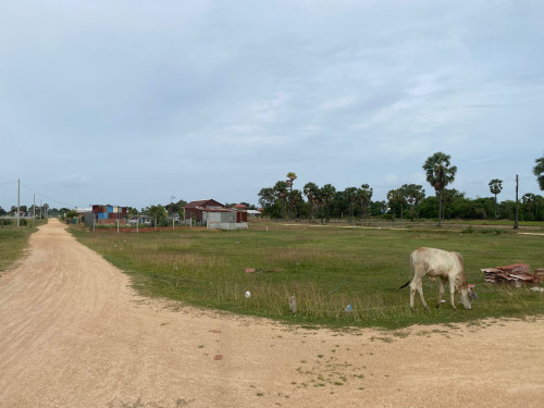 ដីលក់ក្បែរមណីដ្ឋានភ្នំរាប