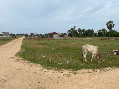 ដីលក់ក្បែរមណីដ្ឋានភ្នំរាប