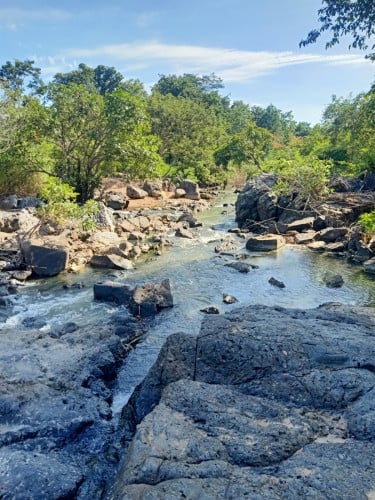 ដីចំការរីសតជាប់រមណីយដ្ឋានតាមាឃ