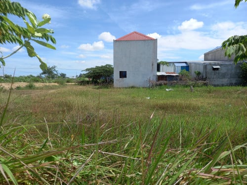 ដីឡូតិ៍ស្អាតជាប់ផ្លូវបេតុងលក់បន្ទាប់