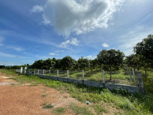 ដីលំហែរ 40x65m ស្ថិតនៅ តំបន់ រម្មណីយដ្ឋាន កំពូលពេជ្រ អន្លង់ភ្ញៀវ